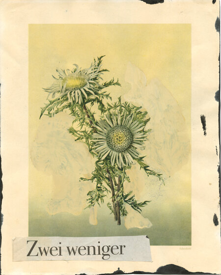 46/2021  „Zwei weniger“