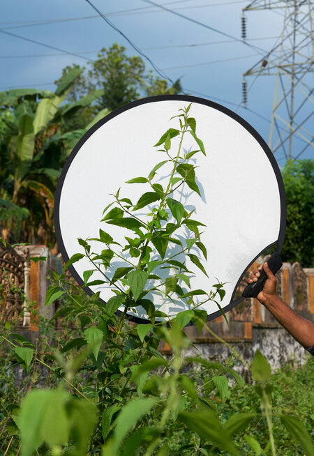 Kochi-Muziris Biennale - Residency Program