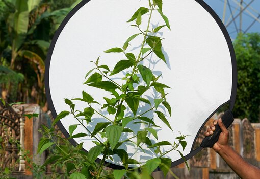 Kochi-Muziris Biennale - Residency Program