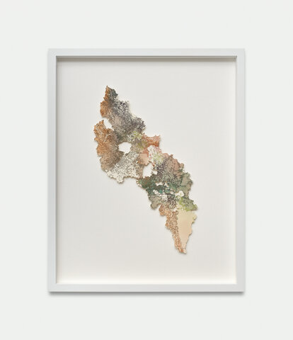 Rhizome Polychrome 2