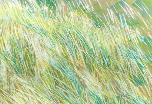 hr2 berichtet über die Robert Zandvliet-Ausstellung in der Kunsthalle Darmstadt